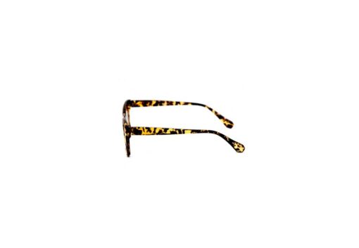 horn-rimmed tartarooga sunglasses side (1)
