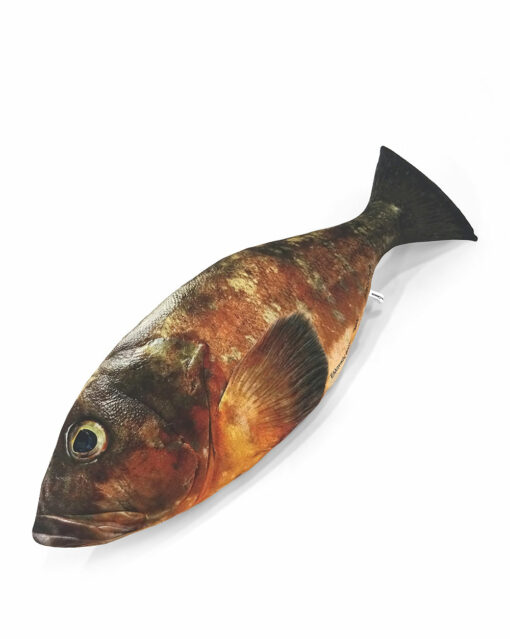 Dusky Grouper Fish Pillow