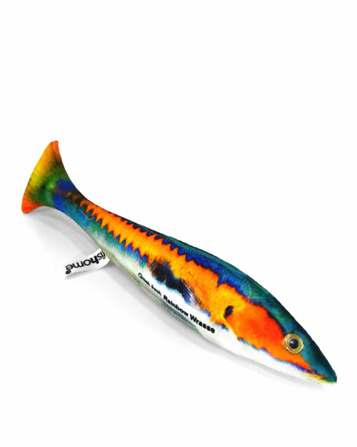 Rainbow Wrasse Fish Pillow