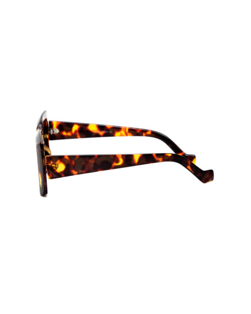 Tartarooga Sunglasses With Brown Gradient Lenses
